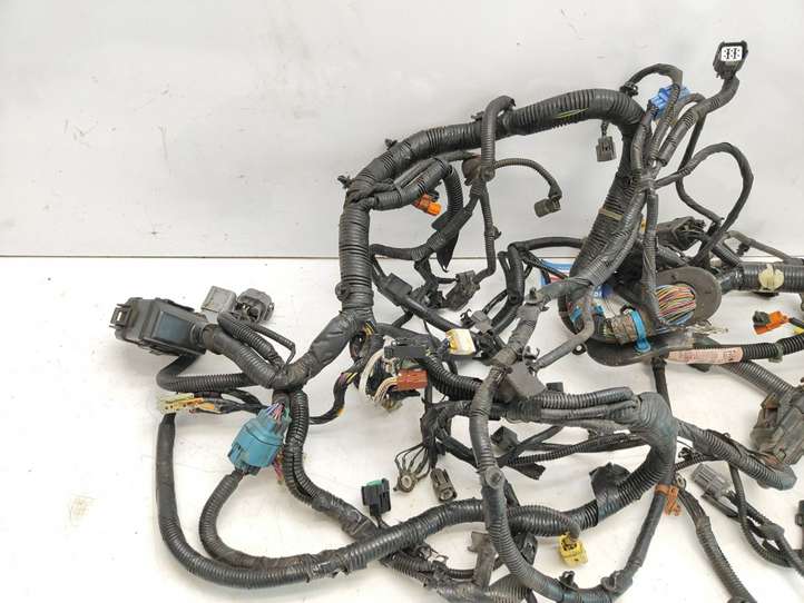 Honda Accord (2003 - 2007)  77961SEF2D10 Проводка двигателя