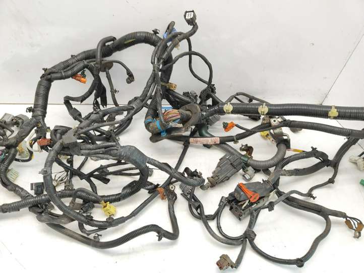 Honda Accord (2003 - 2007)  77961SEF2D10 Проводка двигателя