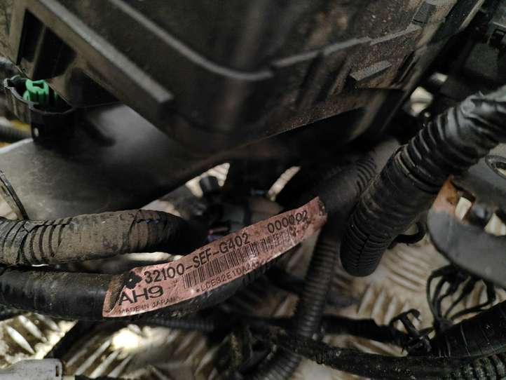 Honda Accord (2003 - 2007)  77961SEF2D10 Проводка двигателя