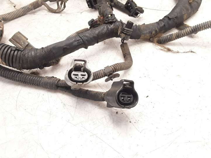 Chevrolet Captiva (2006 - 2011)  6F21TJ1 Проводка двигателя