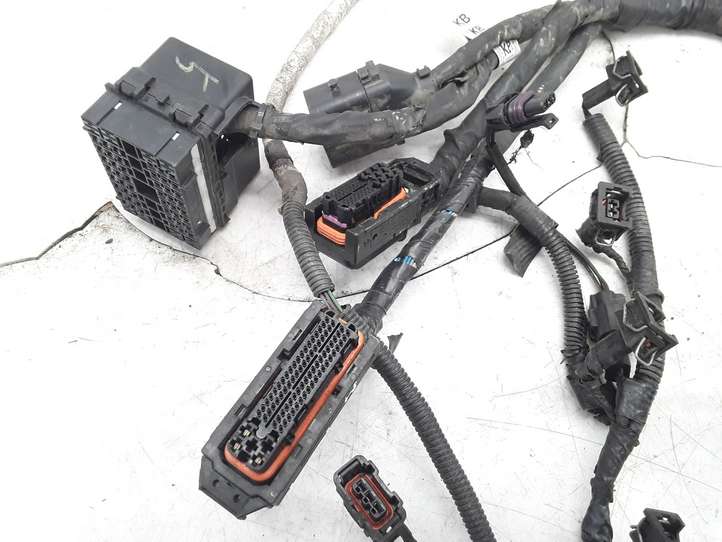 Chevrolet Captiva (2006 - 2011)  6F21TJ1 Проводка двигателя