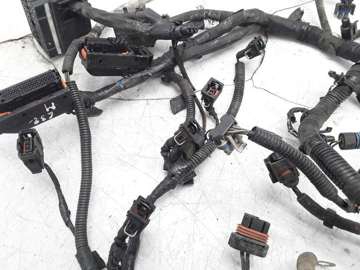 Chevrolet Captiva (2006 - 2011)  6F21TJ1 Проводка двигателя