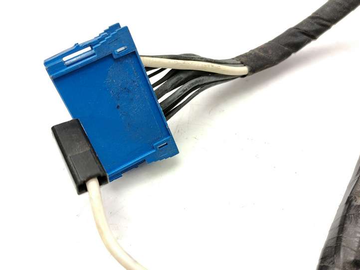 Renault Laguna (2001 - 2005)  8200093481 Проводка крышки багажника