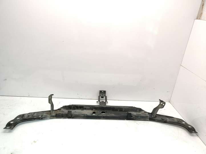Renault Laguna (2001 - 2005)  7701702434 Отделка радиаторов