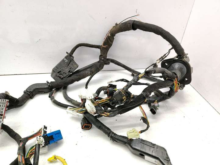 Kia Carnival (2006 - 2014)  917004D050 Проводка двигателя
