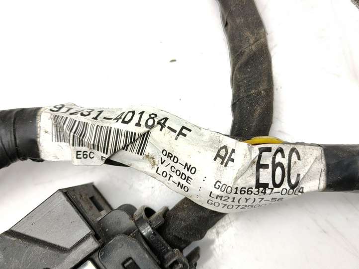 Kia Carnival (2006 - 2014)  917004D050 Проводка двигателя