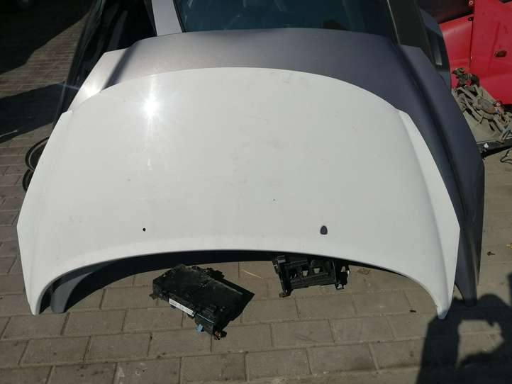 Peugeot 207 (2006 - 2009)   Капот