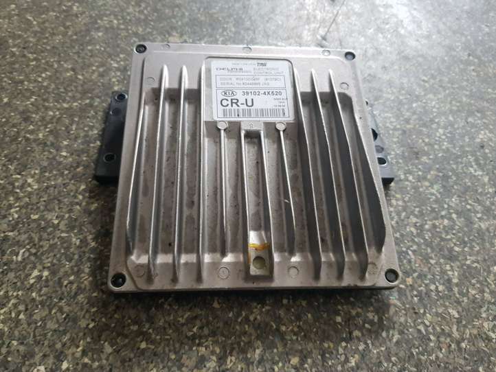 Kia Carnival (2002 - 2006)  391024X520 Блок управления двигателя