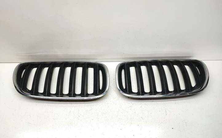BMW X5 E53 (1999 - 2006)  7113733 Передняя решётка