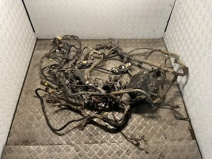 Toyota Hilux (AN10, AN20, AN30) (2011 - 2015) Проводка двигателя — фото 1