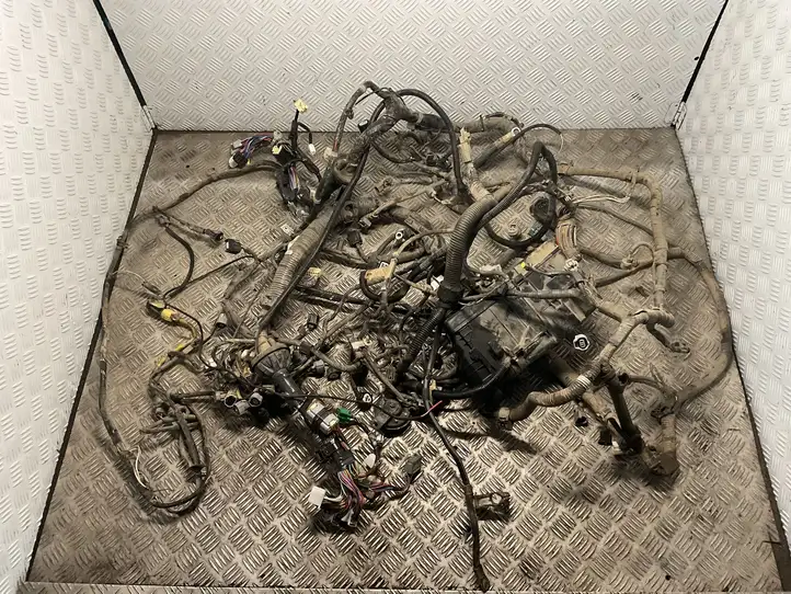 Toyota Hilux (AN10, AN20, AN30) (2011 - 2015) Проводка двигателя — фото 4