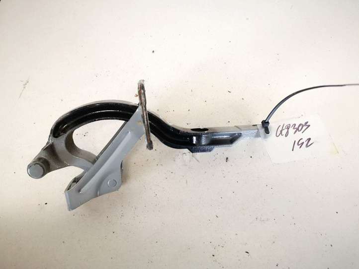 Saab 9-5 (2006 - 2010)  4699211 Петля (петли) задней крышки