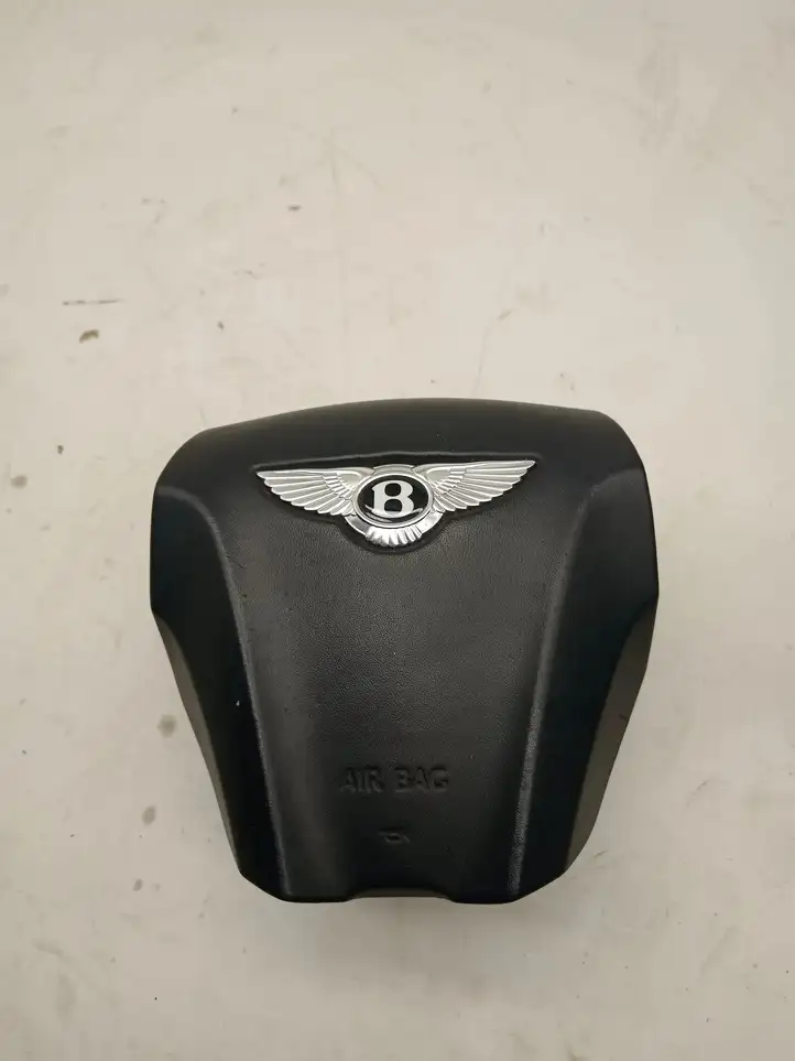 Bentley Continental (2003 - 2017) 3W0880206BH Подушка безопасности руля — фото 1