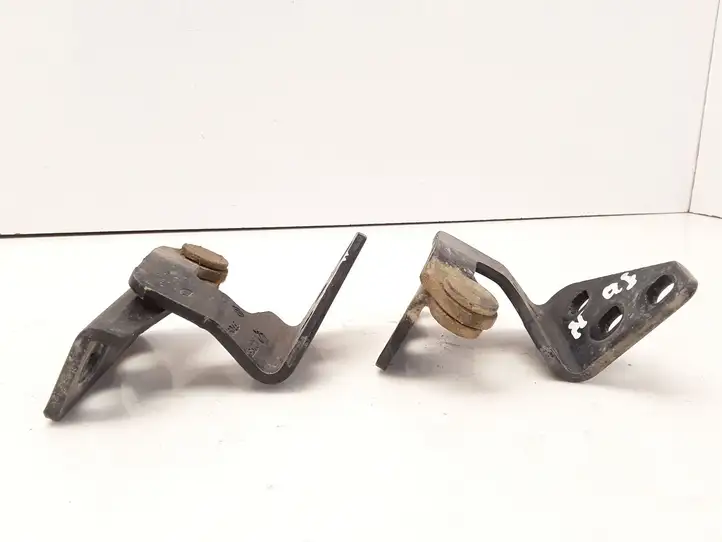 Renault Espace - Grand espace IV (2004 - 2014) Петли крышки багажника — фото 3