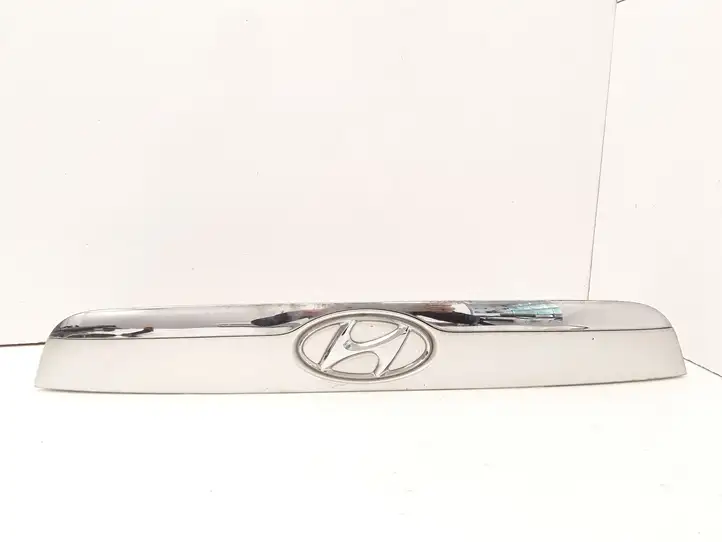 Hyundai ix 55 (2006 - 2012) 873113J000 Подсветка номера — фото 1