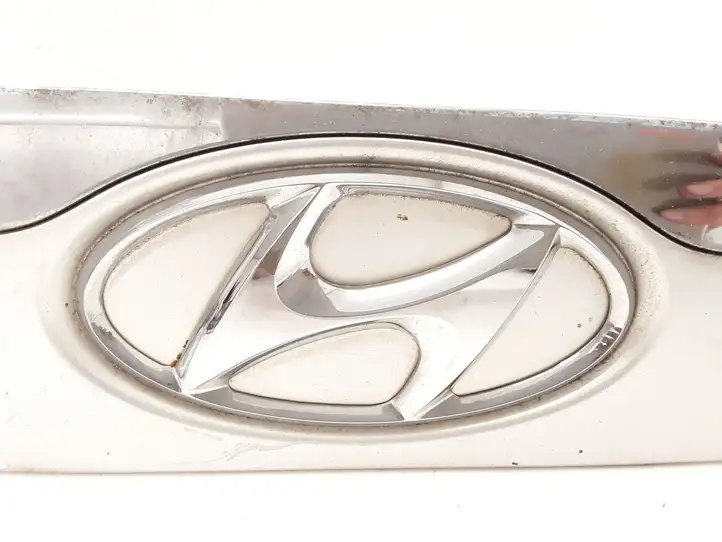 Hyundai ix 55 (2006 - 2012) 873113J000 Подсветка номера — фото 2
