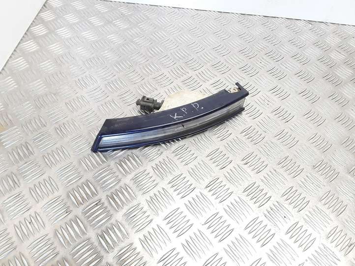Volkswagen PASSAT B6 (2005 - 2010)  3C0953041L Указатель поворота передний