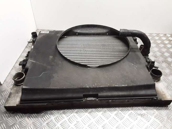 Mercedes-Benz Vito Viano W639 (2003 - 2010)  A6395010301 Комплект радиаторов