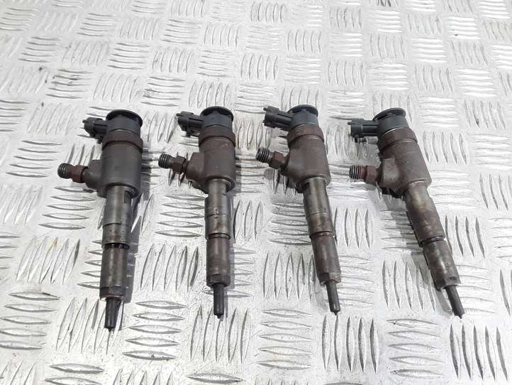 Citroen C3 (2002 - 2009)  0445110252 Комплект жиклеров (форсунок)
