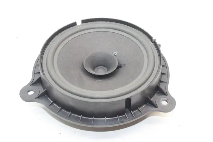 Nissan Qashqai (2013 - 2017) Динамики передних дверей — фото 2