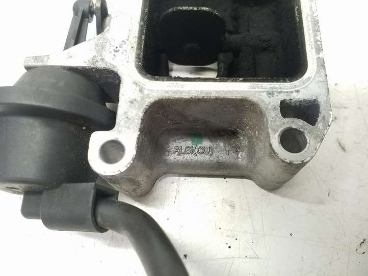 Volvo V70 (2013 - 2016)   Клапан EGR