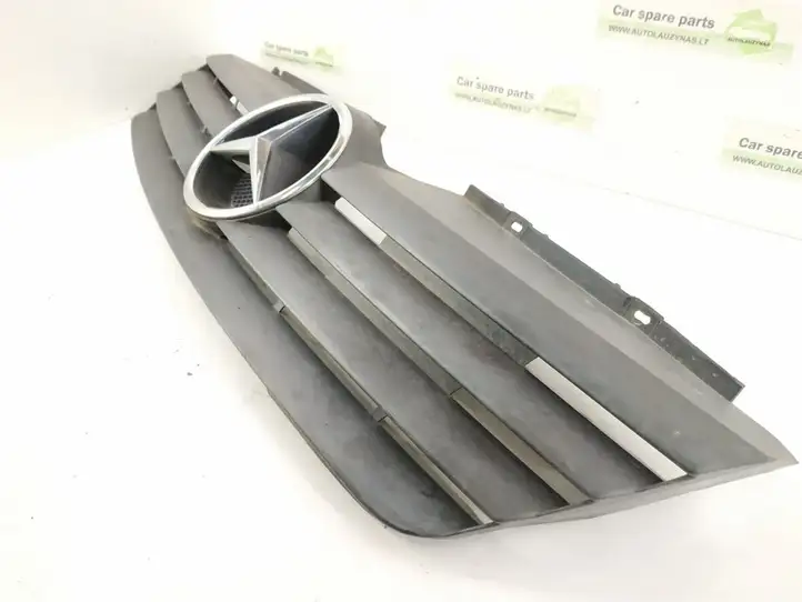 Mercedes-Benz Vaneo W414 (2001 - 2005) Передняя решетка — фото 4