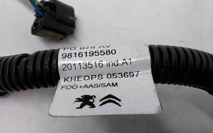 Citroen C4 Picasso (2013 - 2016)  9816195580 Проводка датчиков парковки