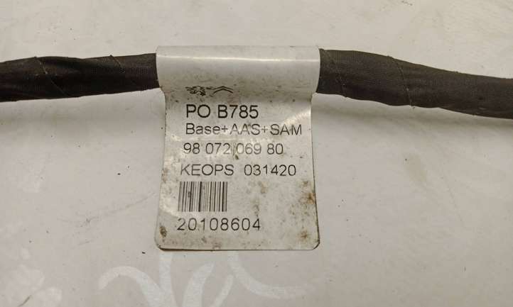 Citroen C4 Picasso (2013 - 2016)  9807206980 Проводка датчиков парковки