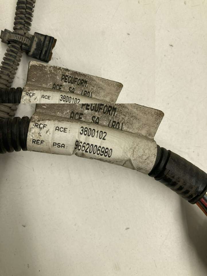 Citroen C4 Picasso (2006 - 2013)  9662006980 Проводка датчиков парковки