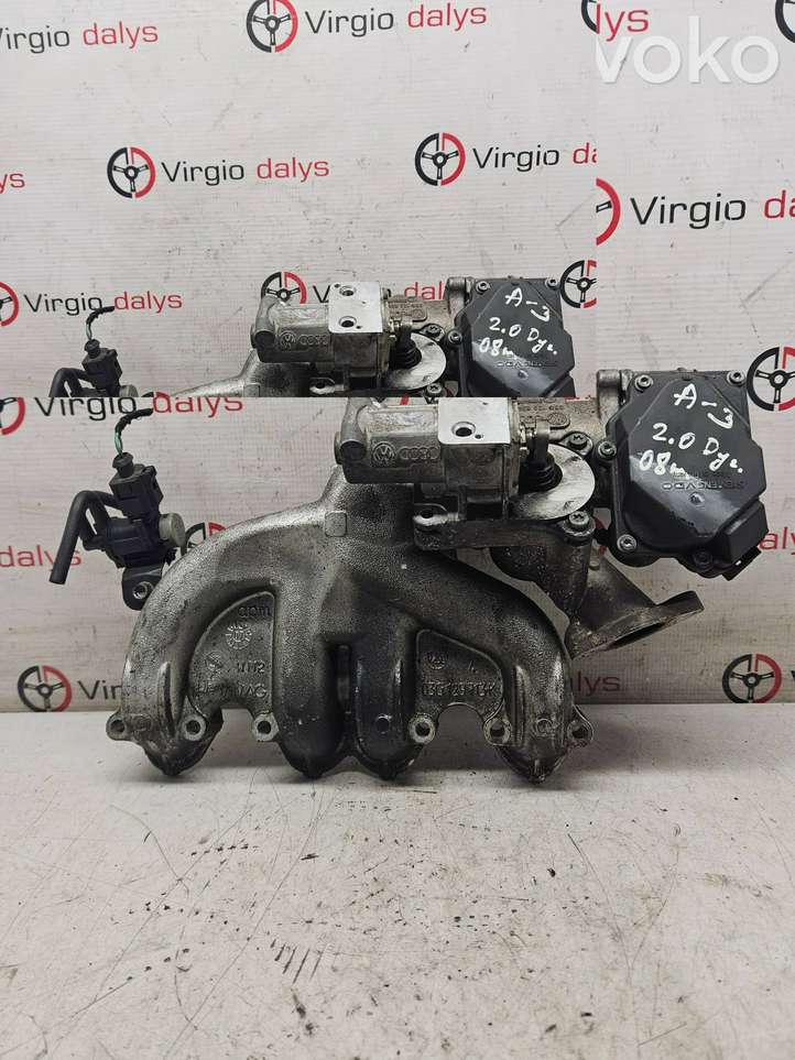 Audi A3/S3 8P (2004 - 2008)  03G129713K Впускной коллектор