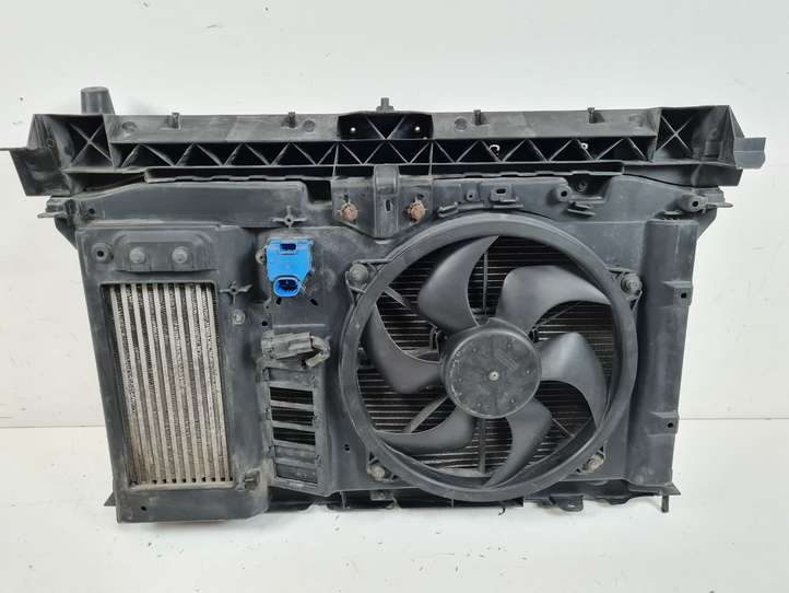 Peugeot Partner (2002 - 2008)  P9680533480 Комплект радиаторов