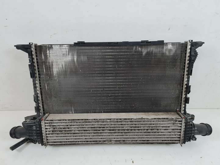 Audi A4 (2007 - 2011)  989460D Комплект радиаторов