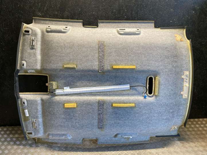 Audi A7 (2010 - 2014)  4G0867506 Потолок