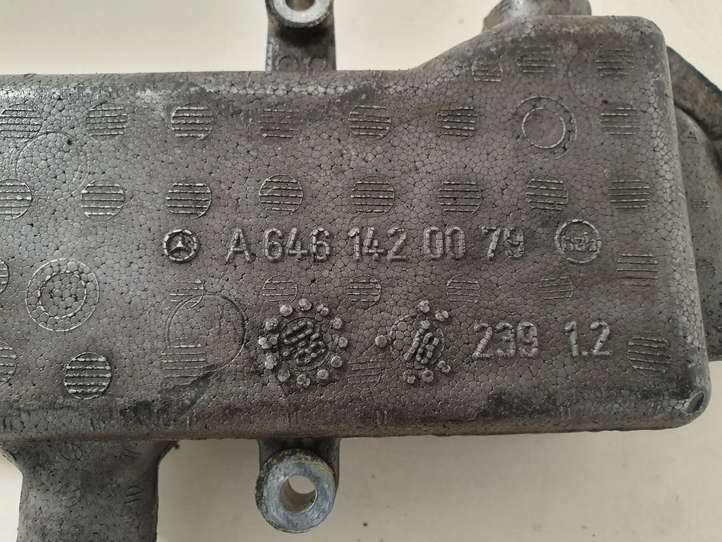 Mercedes-Benz Vito Viano W639 (2003 - 2010)  A6461420079 Охладитель EGR