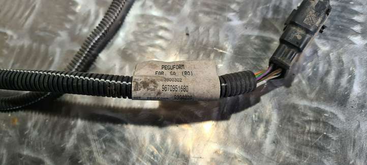 Citroen C4 Picasso (2006 - 2013)  9670951680 Проводка датчиков парковки
