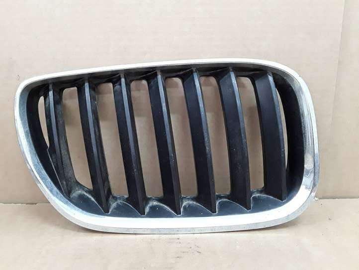 BMW X5 E53 (1999 - 2006)  BM07016 Передняя решётка