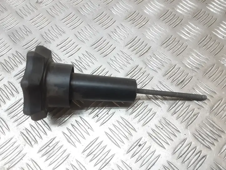 Audi A3/S3 8L (1996 - 2000) 8L0803899B Болт крепления запасного колеса — фото 1