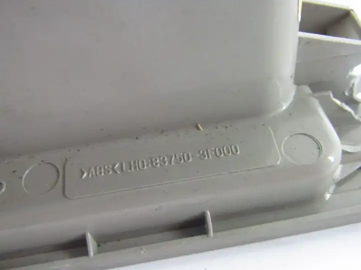 Kia Opirus (2003 - 2007) Передняя пепельница — фото 2