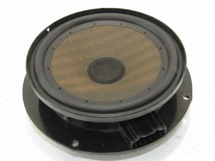 Volkswagen Scirocco (2008 - 2014) Динамики задних дверей — фото 1