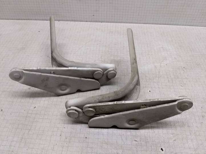 Opel Movano A (1998 - 2010)  3524797 Петля (петли) капота