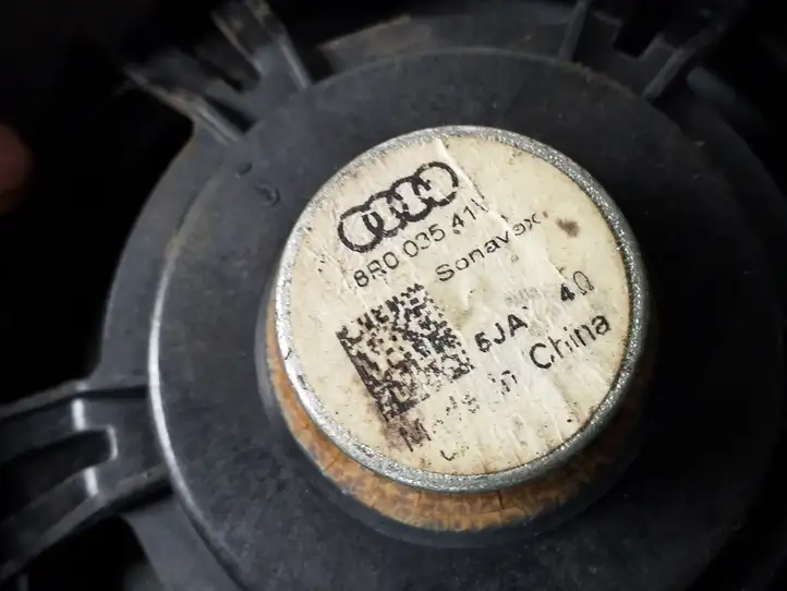 Audi Q5 SQ5 (2008 - 2012) Динамики задних дверей — фото 3