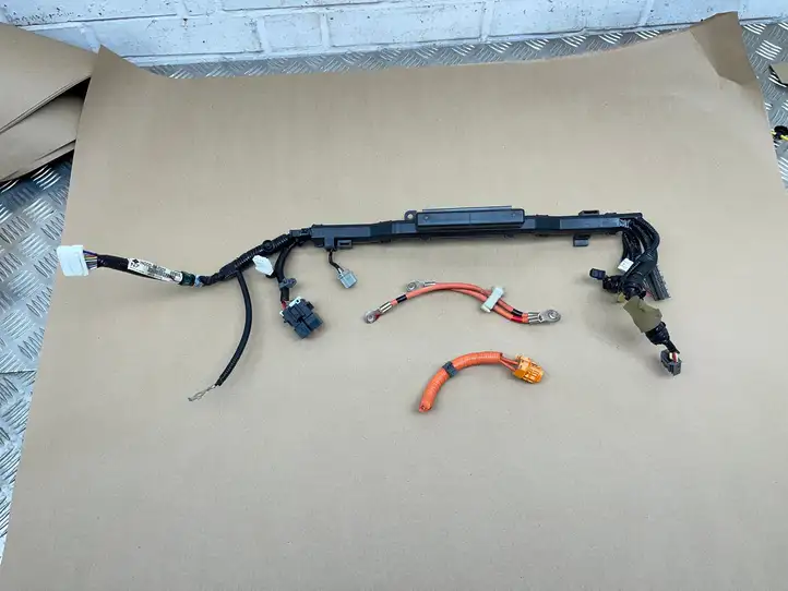 Honda Civic (2006 - 2011) 1N000RMX0301 Прочая электропроводка — фото 1