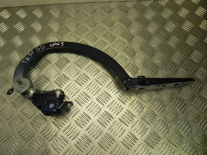 BMW 5 G30 G31 (2016 - ) 7366398 Петли крышки багажника — фото 1