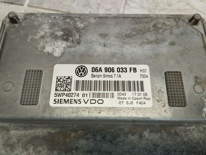 Skoda Octavia Mk2 (1Z) (2004 - 2013)  06A906033FB Блок управления двигателя