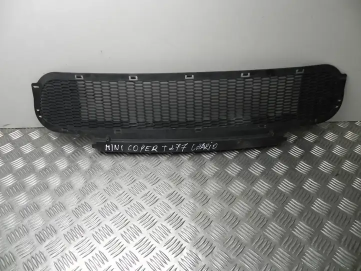 Mini One Cooper R50-53 (2000 - 2012) 51117068396 Передняя решетка — фото 1