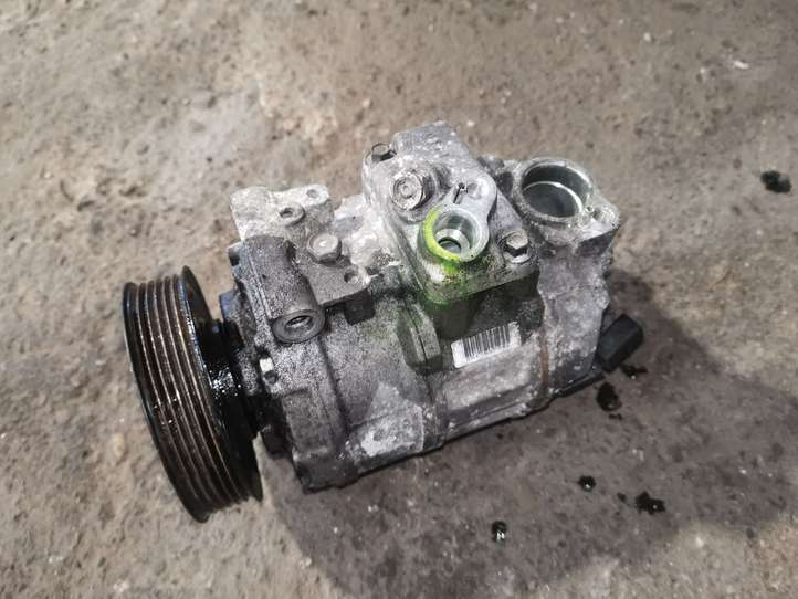 Audi A3/S3 8P (2003 - 2005)   Компрессор (насос) кондиционера воздуха