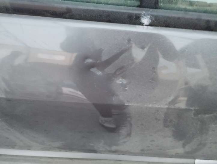 Renault Scenic II -  Grand scenic II (2003 - 2006)   Дверь