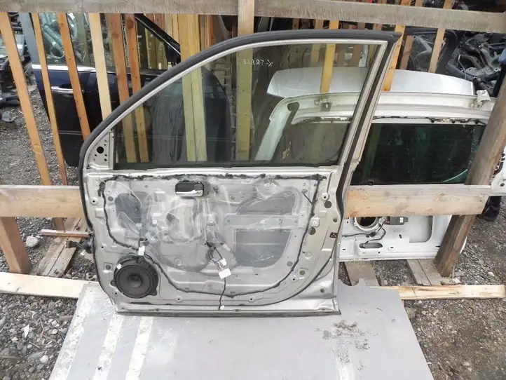 Nissan X-Trail T30 (2001 - 2007) Дверь — фото 2