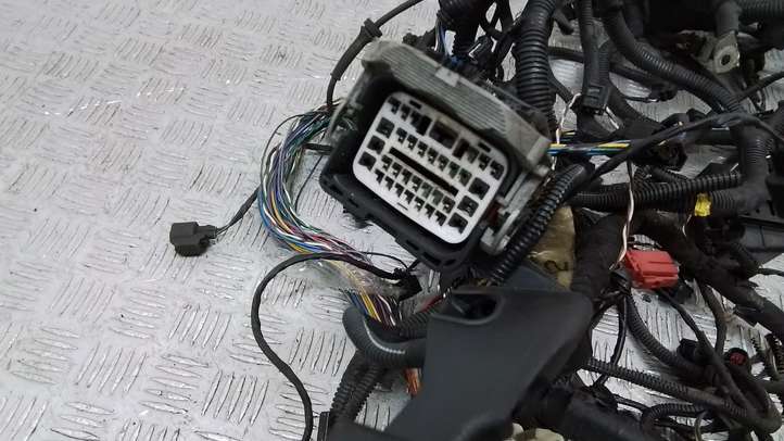 Volvo S80 (2006 - 2009)  30782470 Проводка двигателя