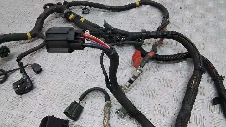 Volvo S80 (2009 - 2013)  30795425 Проводка двигателя